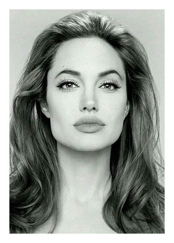 Angelina like Hollywood Slut